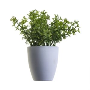 Planta del bienestar